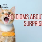 Idioms About Surprise