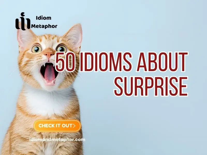 Idioms About Surprise
