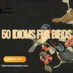 Idioms For Birds