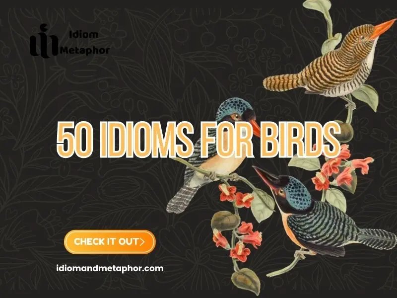 Idioms For Birds