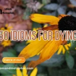 Idioms For Dying
