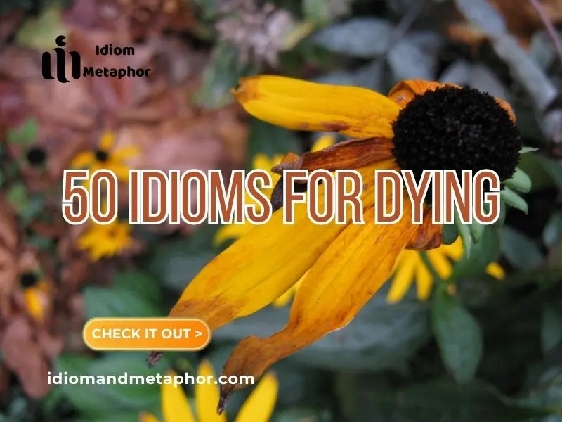 Idioms For Dying