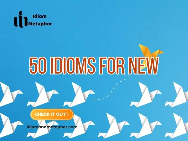 Idioms For New