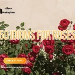 Idioms For Roses