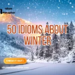 Idioms About Winter