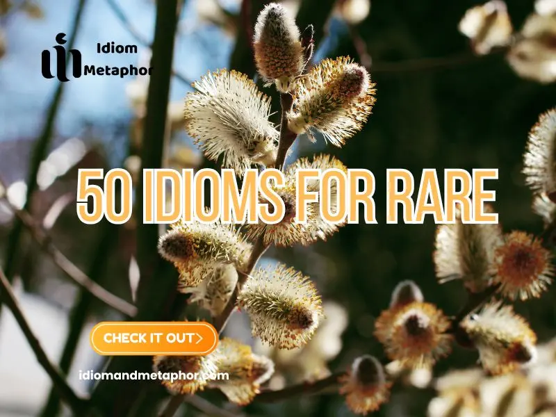 Idioms For Rare