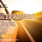 Idioms About Driving
