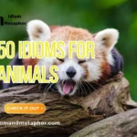 Idioms For Animals