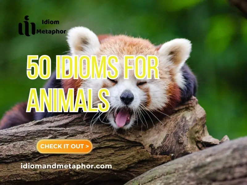 Idioms For Animals