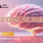 Idioms For Brain