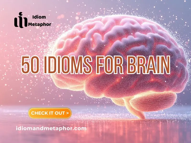 Idioms For Brain