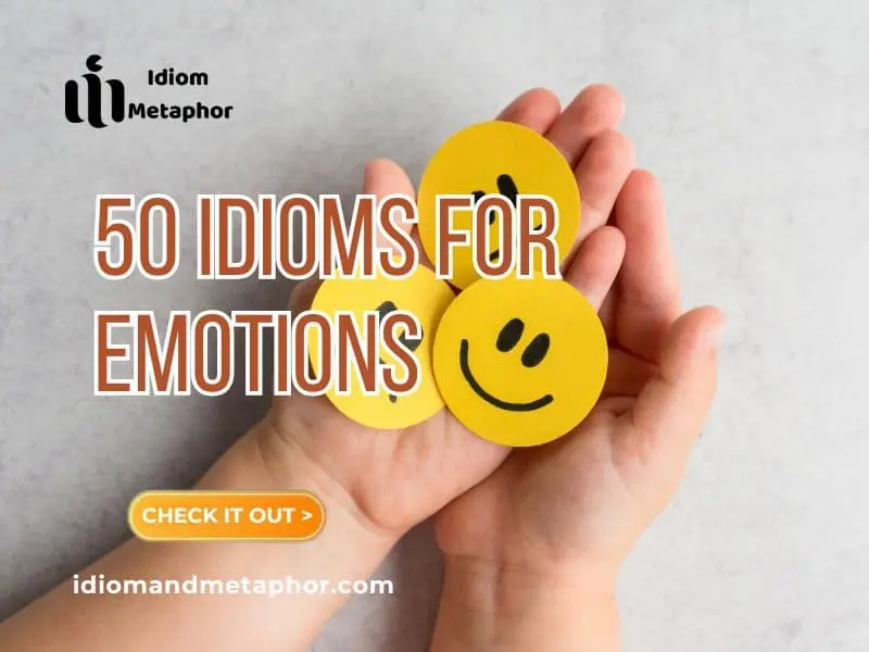 Idioms For Emotions