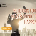 Idioms For Never Going To Happen