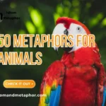 Metaphors For Animals
