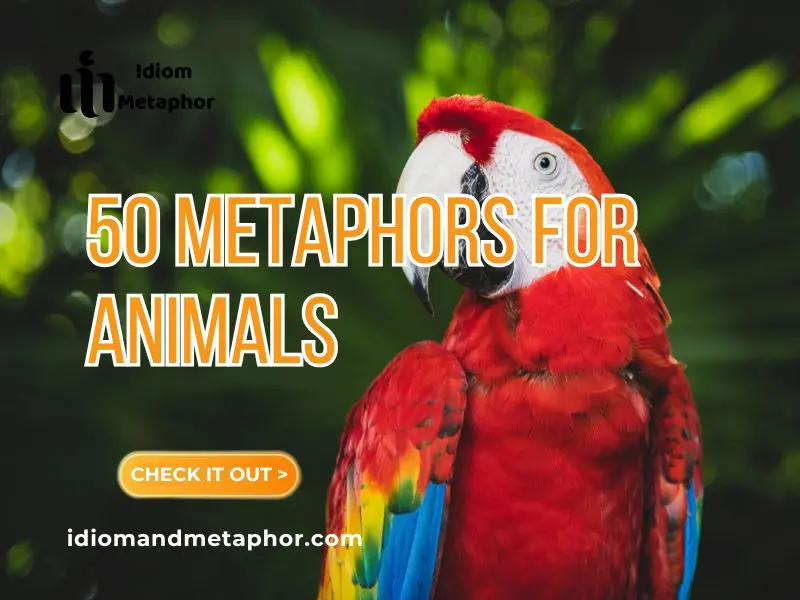 Metaphors For Animals