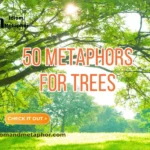 Metaphors For Trees
