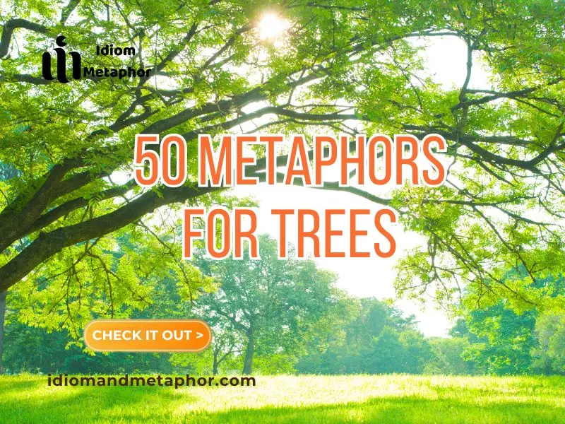 Metaphors For Trees
