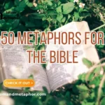 Metaphors For The Bible