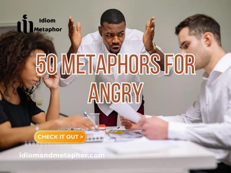 Metaphors For Angry
