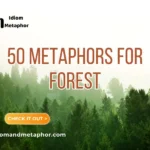 Metaphors For Forest