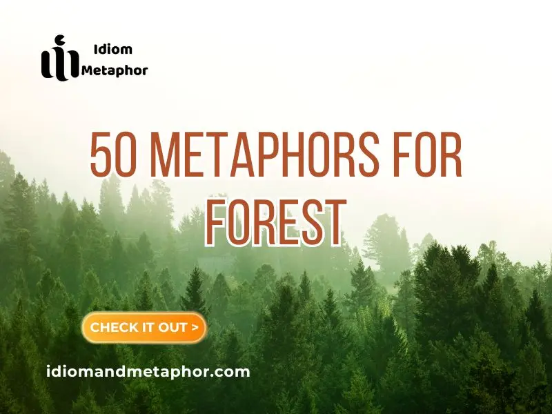 Metaphors For Forest
