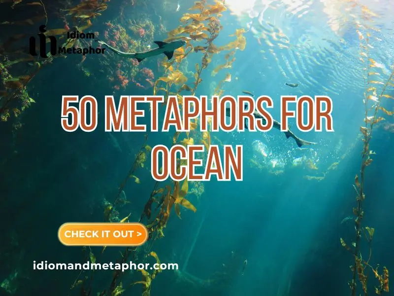 Metaphors For Ocean