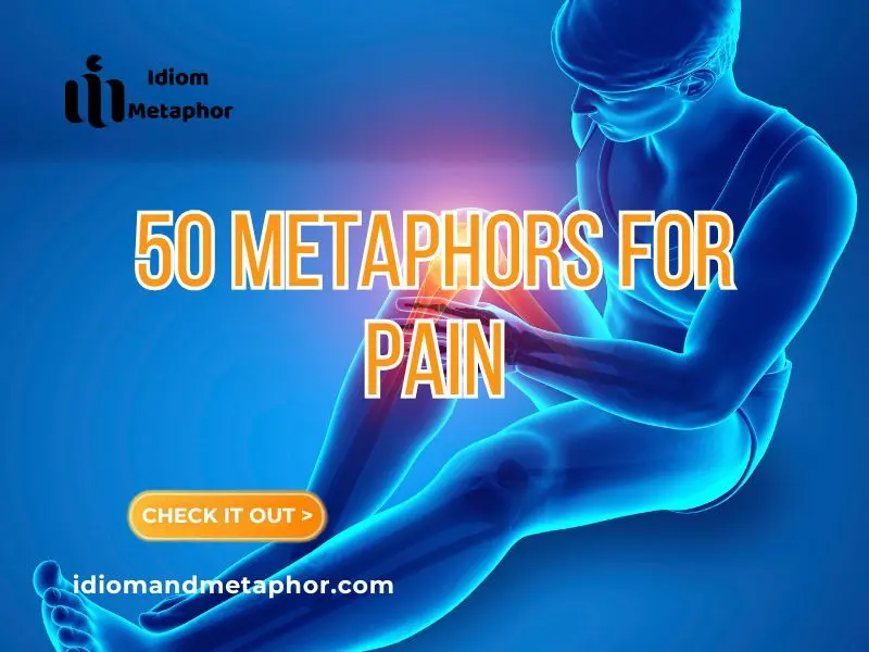 Metaphors For Pain