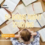Idioms About Studying