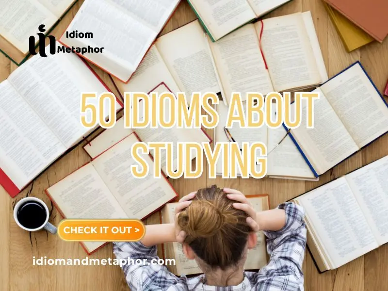 Idioms About Studying