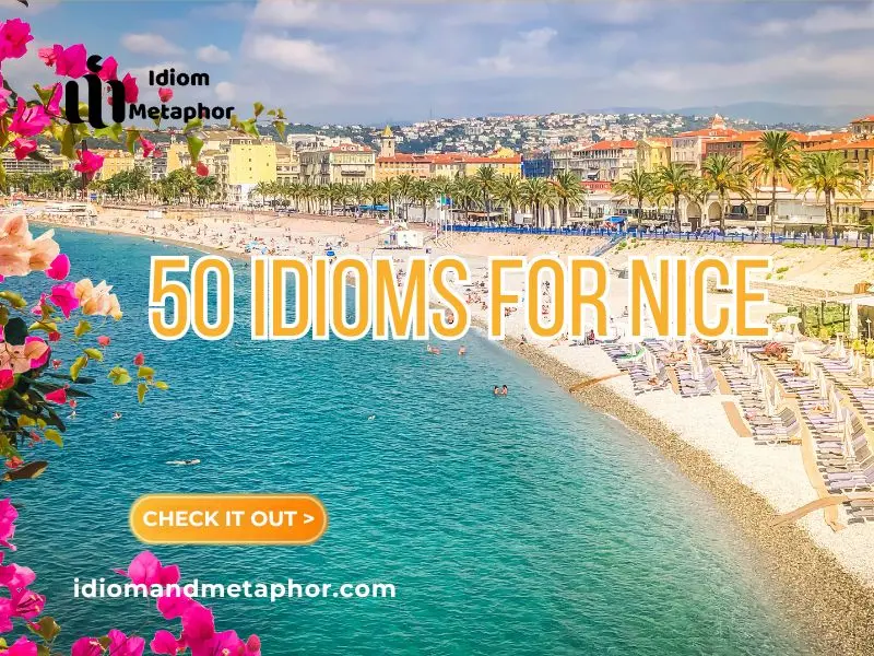 Idioms For Nice