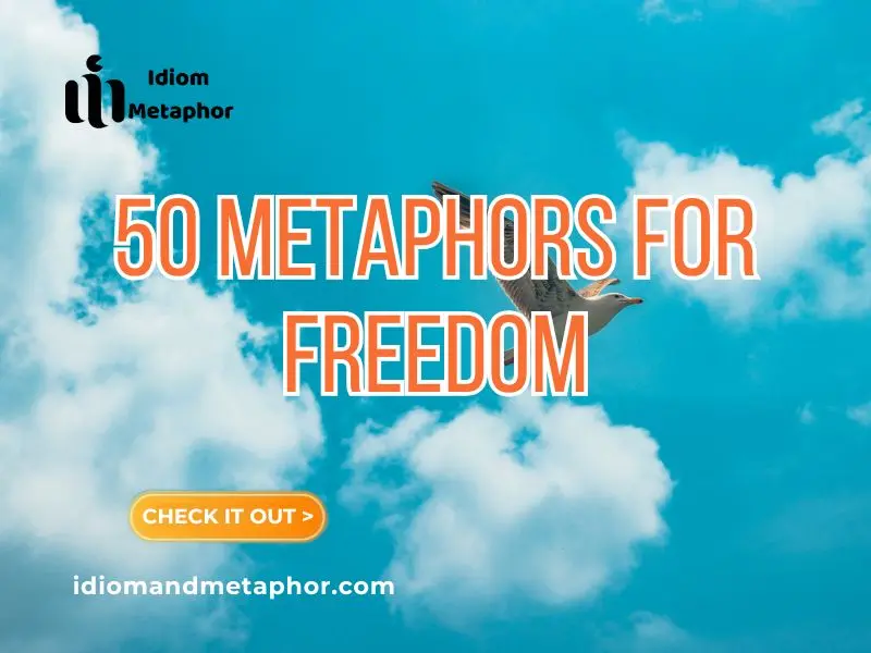 Metaphors For Freedom