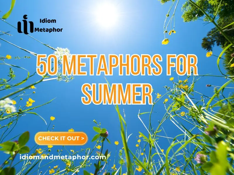 Metaphors For Summer