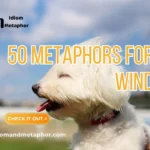 Metaphors For Wind