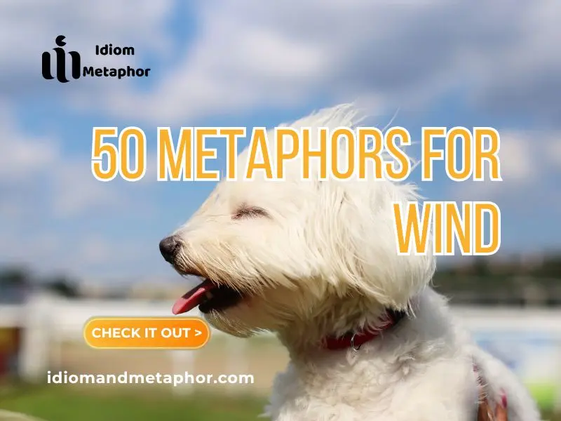 Metaphors For Wind