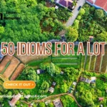 Idioms For A Lot