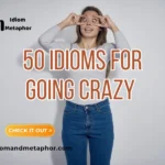Idioms For Going Crazy