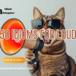 Idioms For Loud