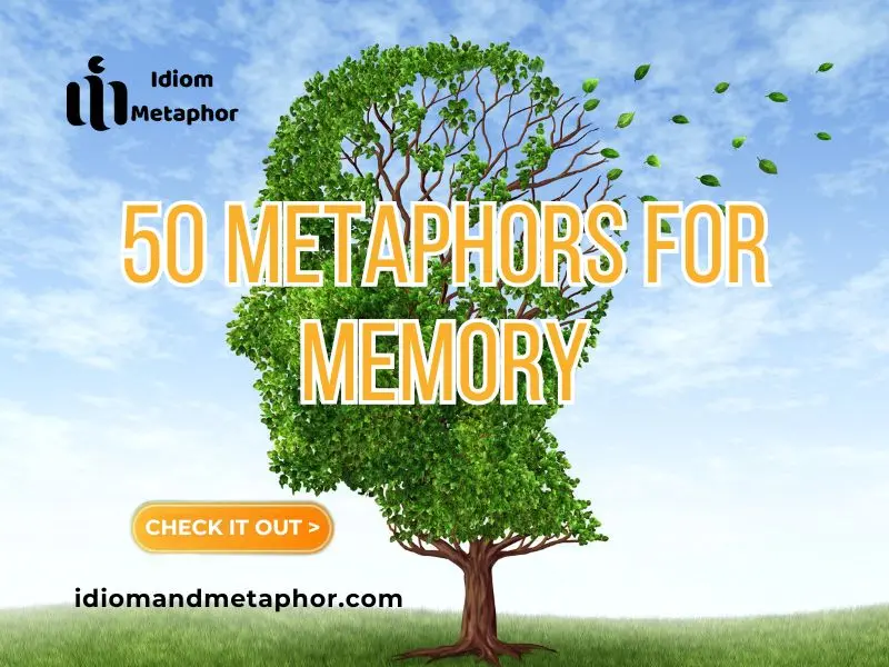 Metaphors For Memory