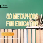 Metaphors For Education