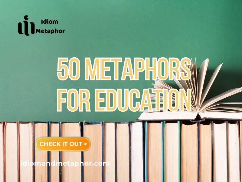 Metaphors For Education