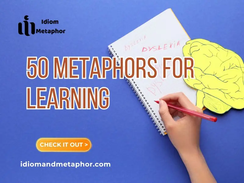 Metaphors For Learning
