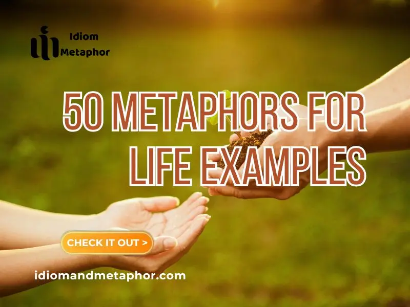 Metaphors For Life Examples