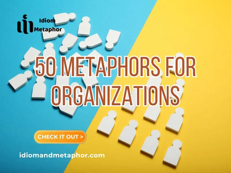 Metaphors For Organizations