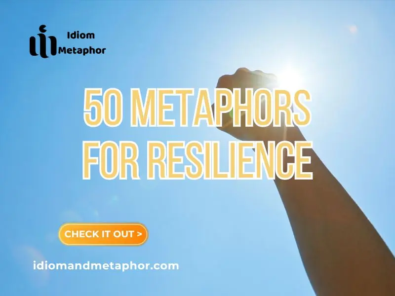 Metaphors For Resilience
