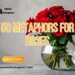 Metaphors For Roses
