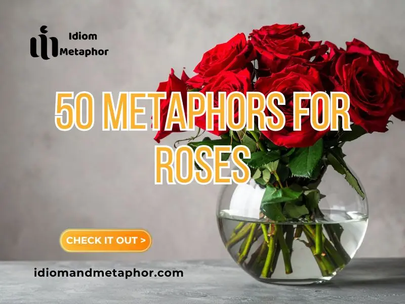 Metaphors For Roses