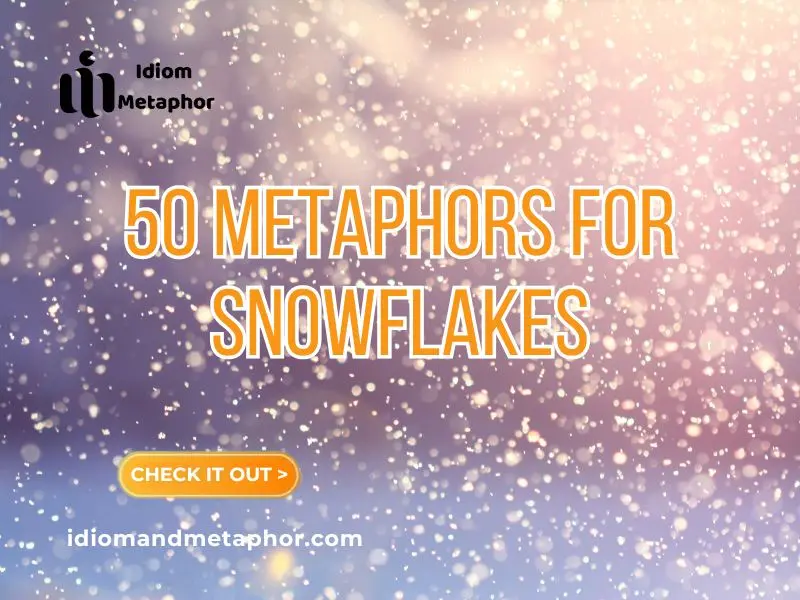 Metaphors For Snowflakes