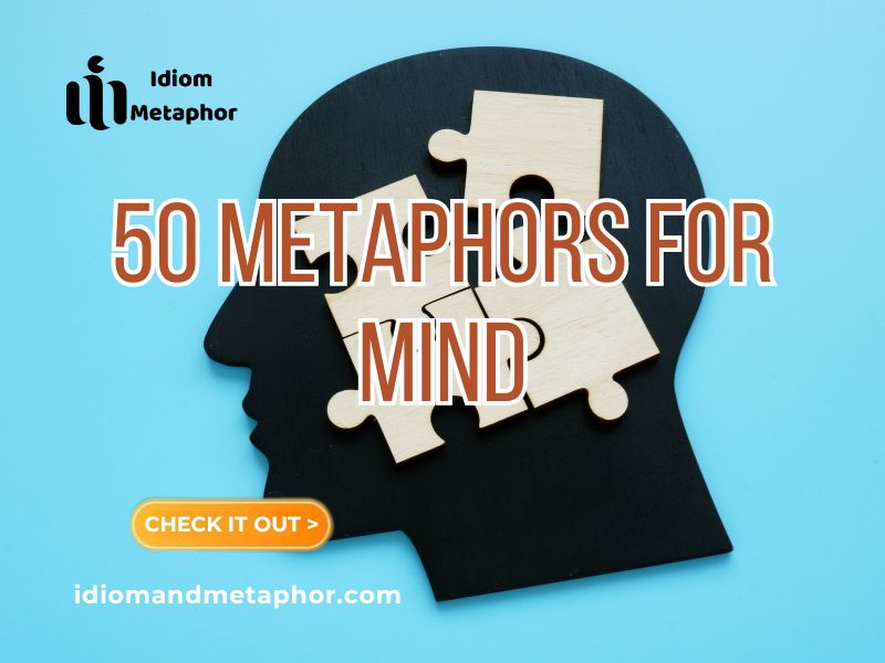 Metaphors For “mind”