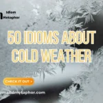 Idioms About Cold Weather