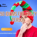 Idioms For Crazy Person